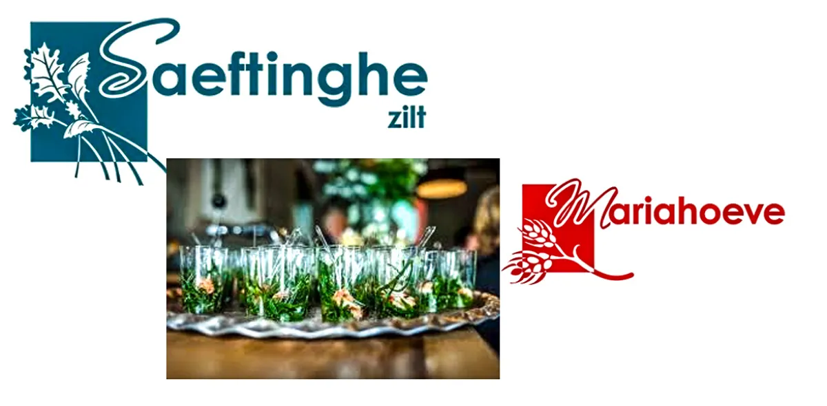 Saeftinge zilt Nieuw-Namen